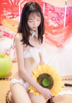 机机对机机在线观看_BD韩语电影免费在线